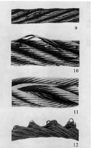 鋼絲繩損壞典型（三）